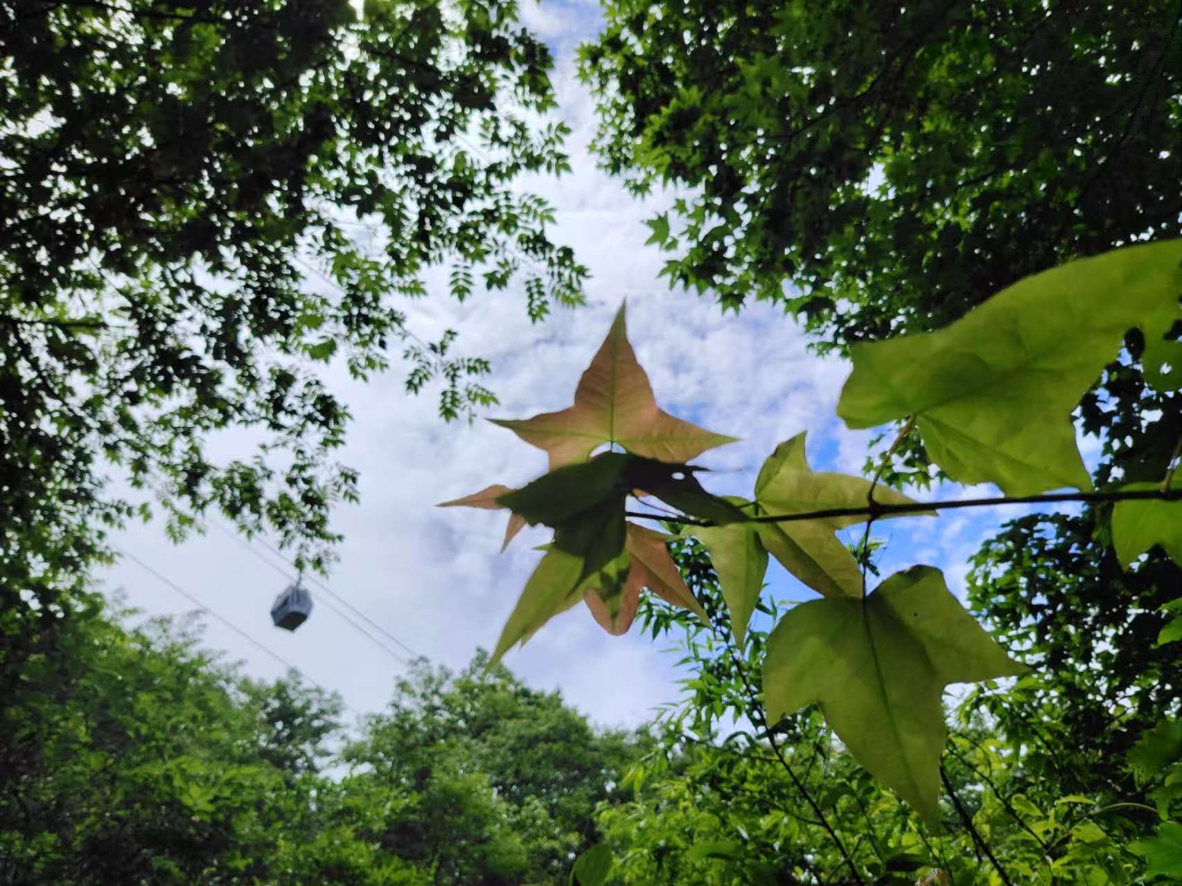 20250918 风景-明月山1.jpeg